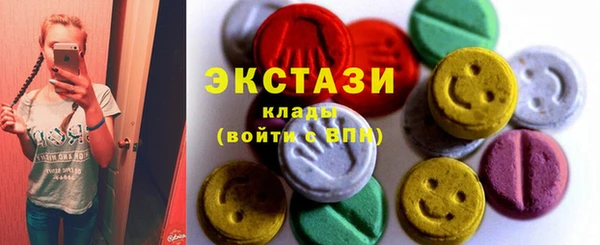 индика Верхний Тагил
