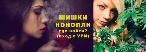 индика Верхний Тагил