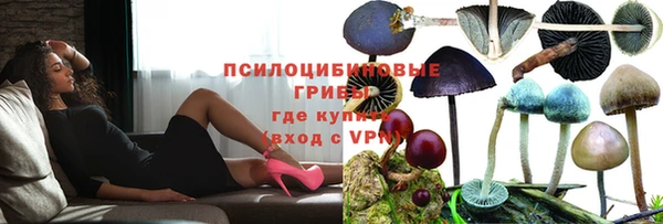 мдпв Верея