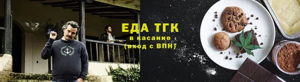 индика Верхний Тагил
