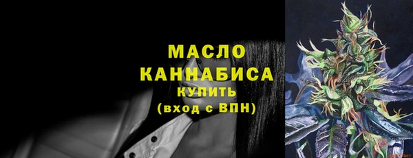 индика Верхний Тагил