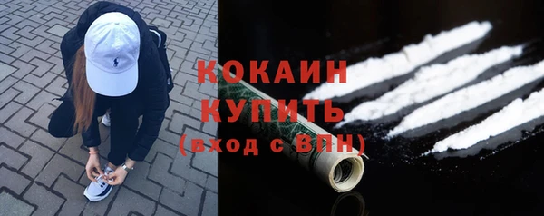 индика Верхний Тагил