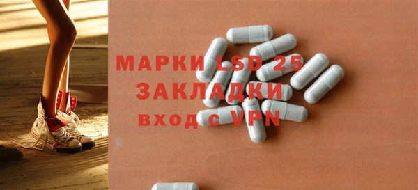 мдпв Верея