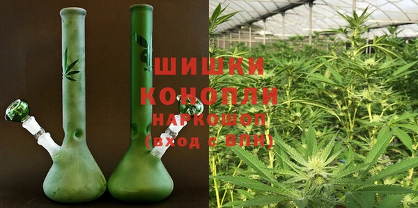 индика Верхний Тагил