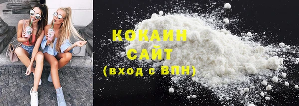 сатива Бородино