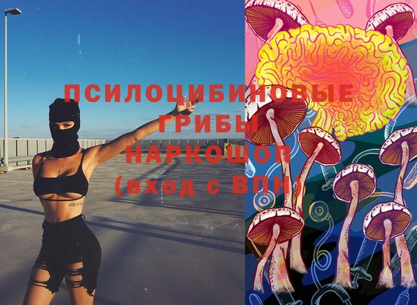 мдпв Верея