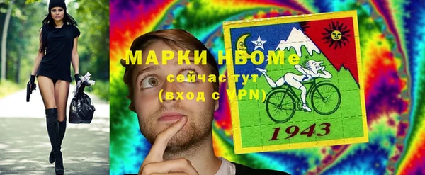 индика Верхний Тагил
