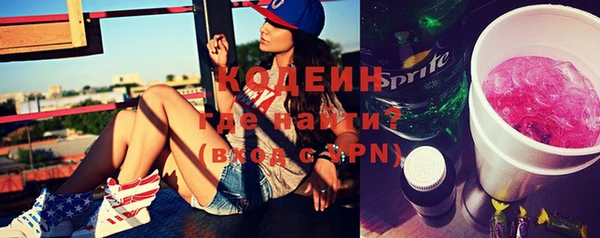 индика Верхний Тагил