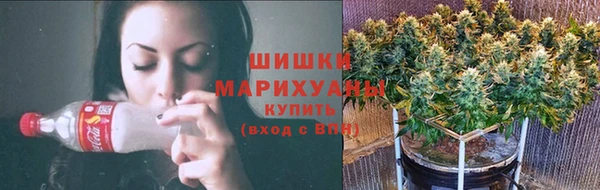индика Верхний Тагил