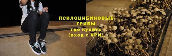 индика Верхний Тагил