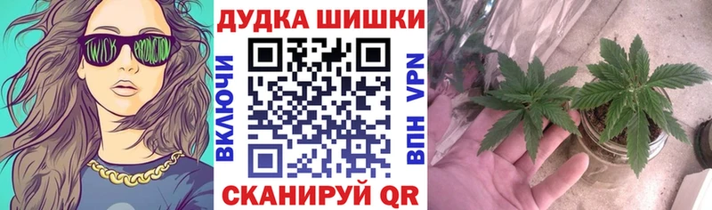 ссылка на мегу зеркало  Лодейное Поле  Марихуана гибрид 